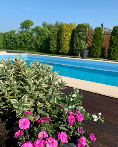 Vacation apartment - SUNNY -Pustkowo