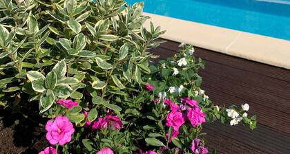 Vacation apartment - SUNNY -Pustkowo