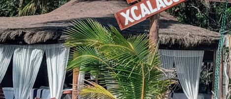 Plage à proximité, serviettes de plage