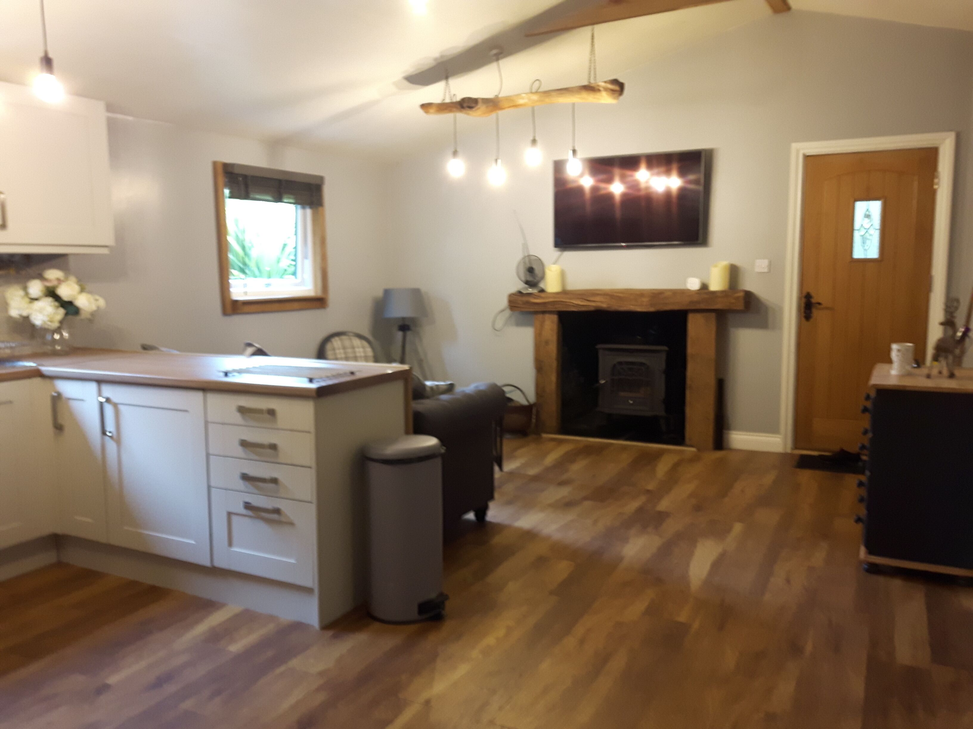 Cabin, 2 Queen Beds | Private kitchen | Fridge, oven, stovetop, electric kettle