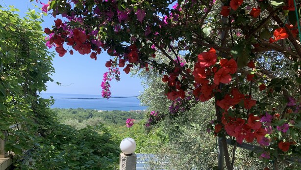 A pool surrounded by lush greenery and bougainvillea flowers, with a view of the sea in the background. - Apartment with sea view and pool - lemon garden (Kaluderac)
