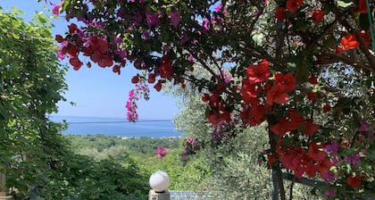 Apartment with sea view and pool - lemon garden