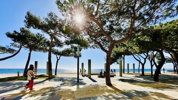 A paved walkway with benches and trees, leading to a beach.