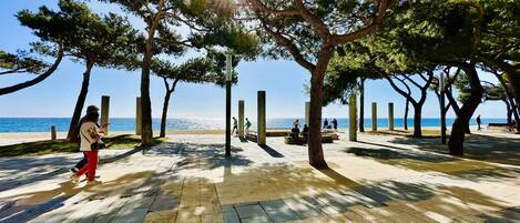 Accommodatie ligt op het strand