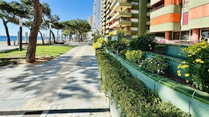 A pathway lined with trees and a building with balconies.