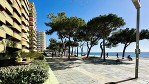 A paved walkway lined with trees and benches, leading to a beach.