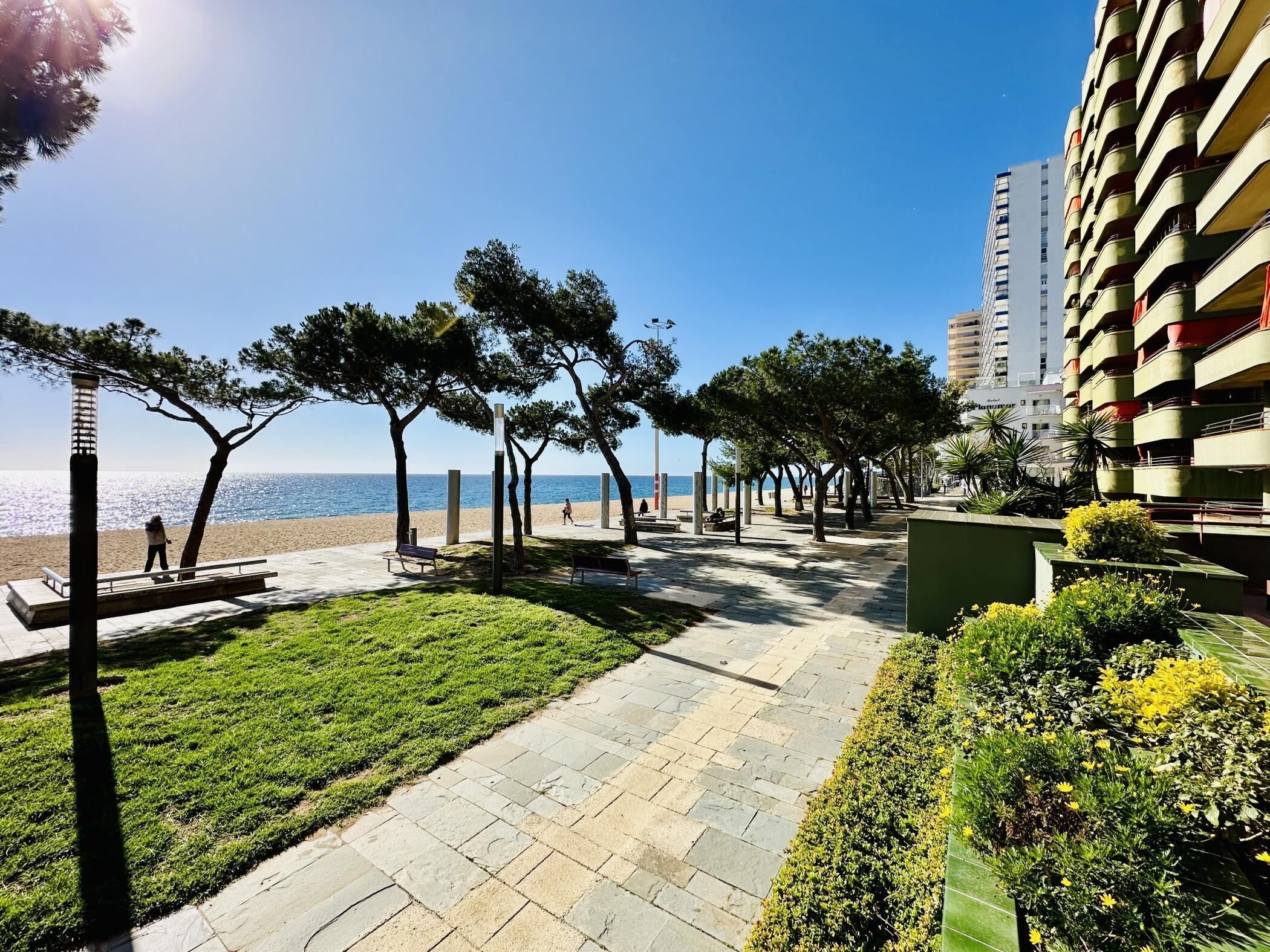 Un chemin pavé bordé d’arbres et de bancs, avec une zone herbeuse qui mène à la plage.