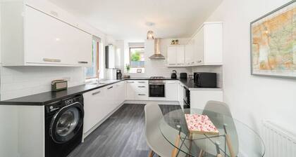 The Palm - Eclectic Bliss