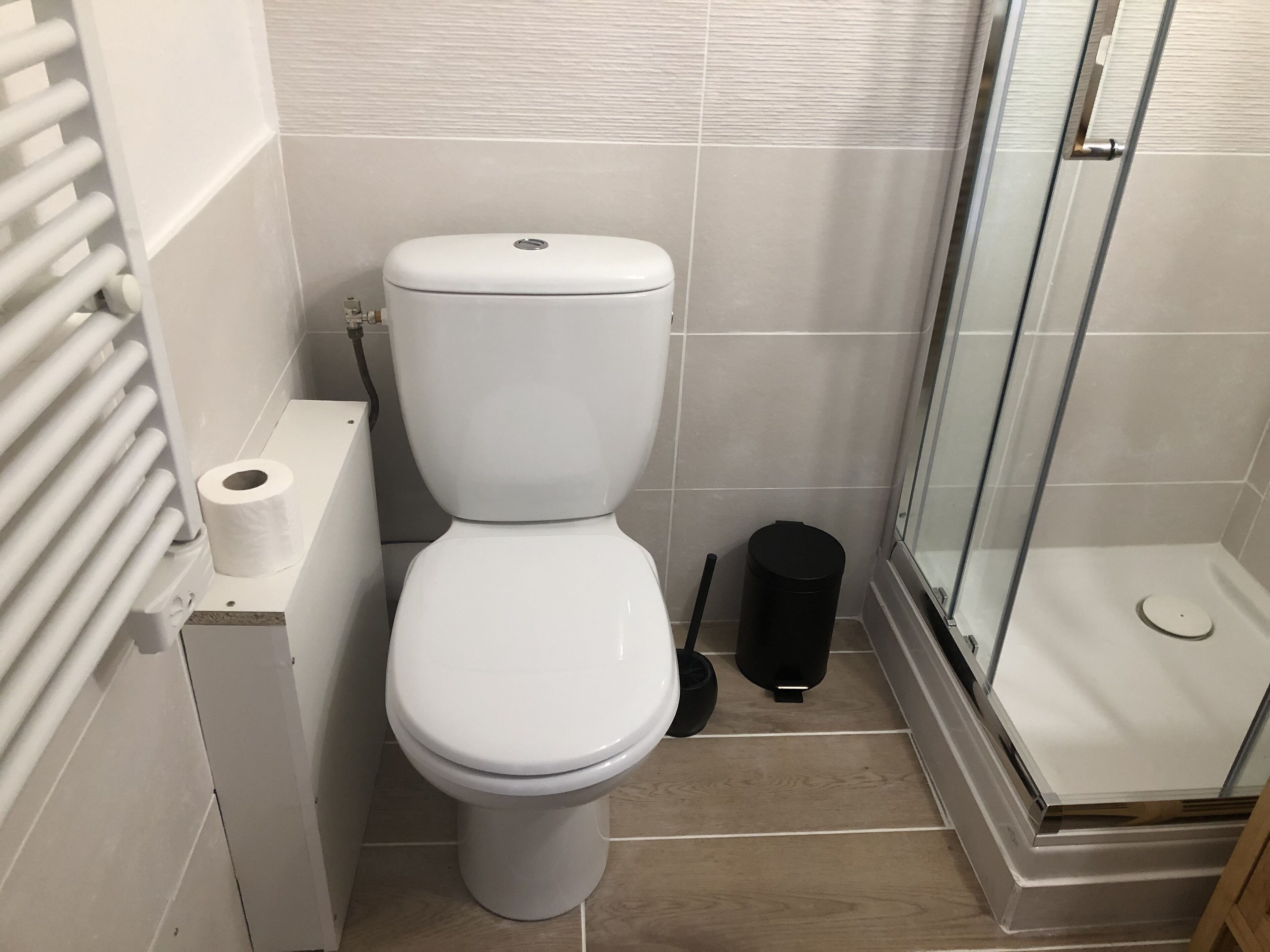 A bathroom with a toilet, a shower, and a toilet paper holder.