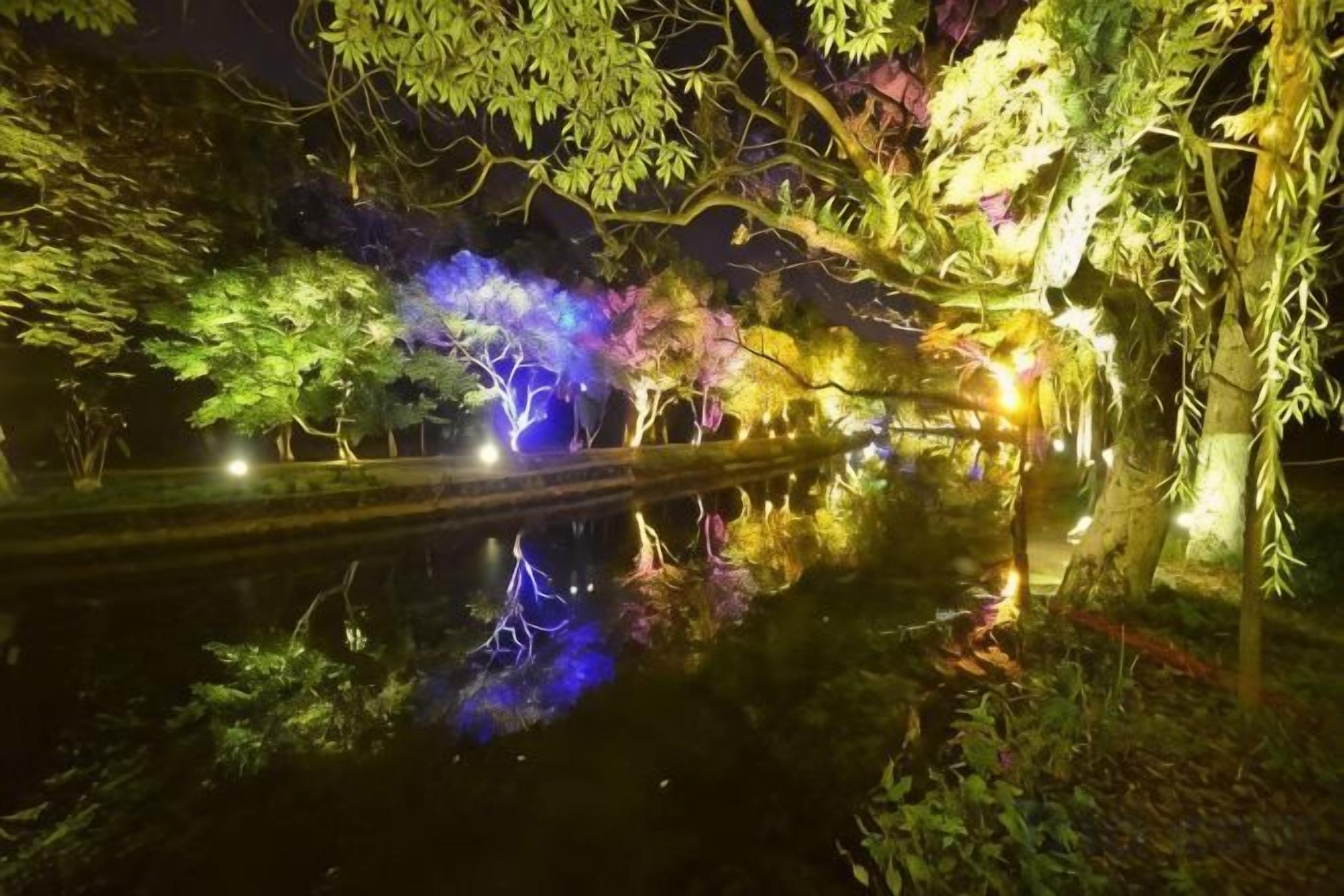 A nighttime scene with trees and a water body, illuminated by artificial lighting.