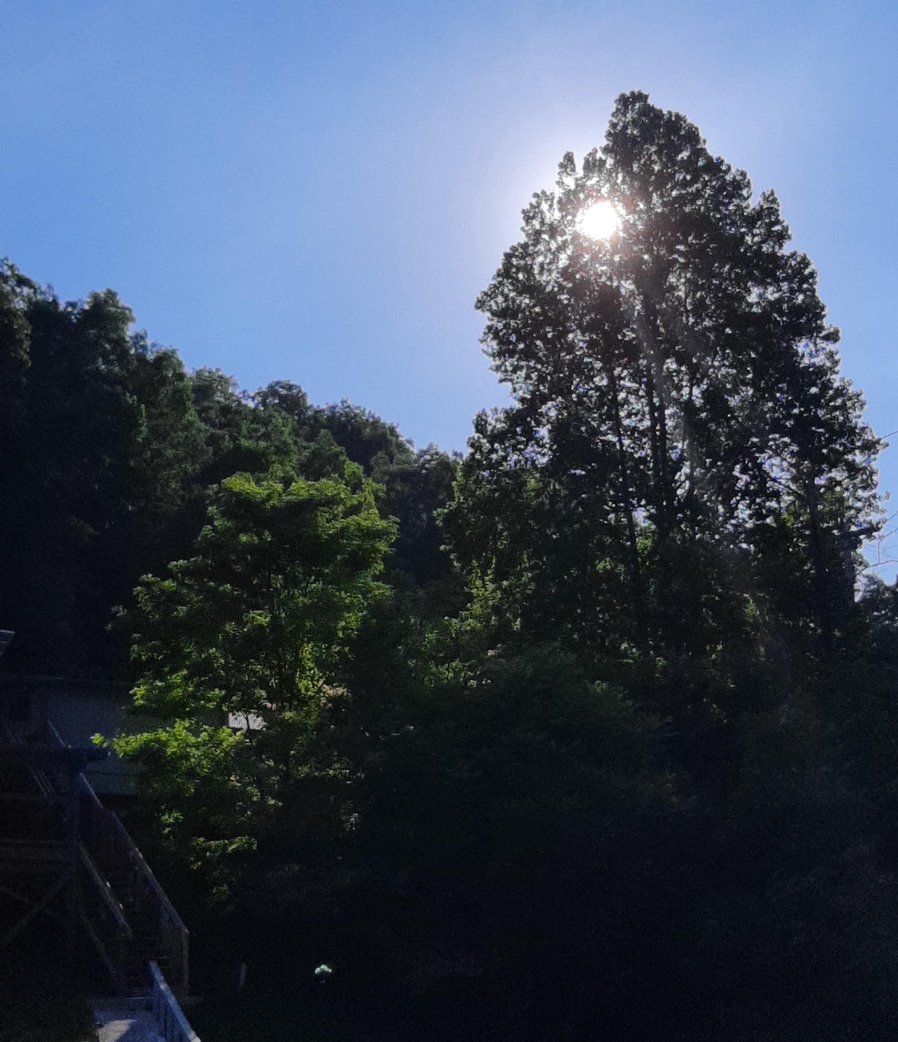 Parco della struttura