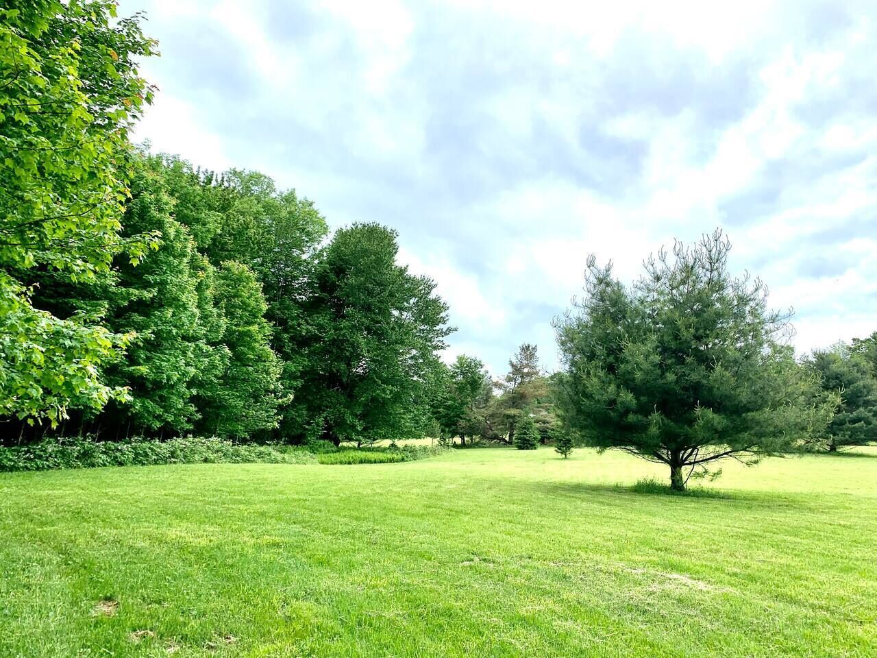 Ein Park mit Gras, Bäumen und blauem Himmel.