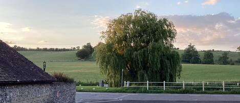 A parking lot with a stone wall and a tree in the background.