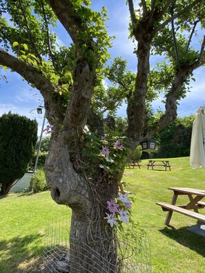 Un árbol con un comedero para pájaros y flores, una mesa de picnic y un césped.