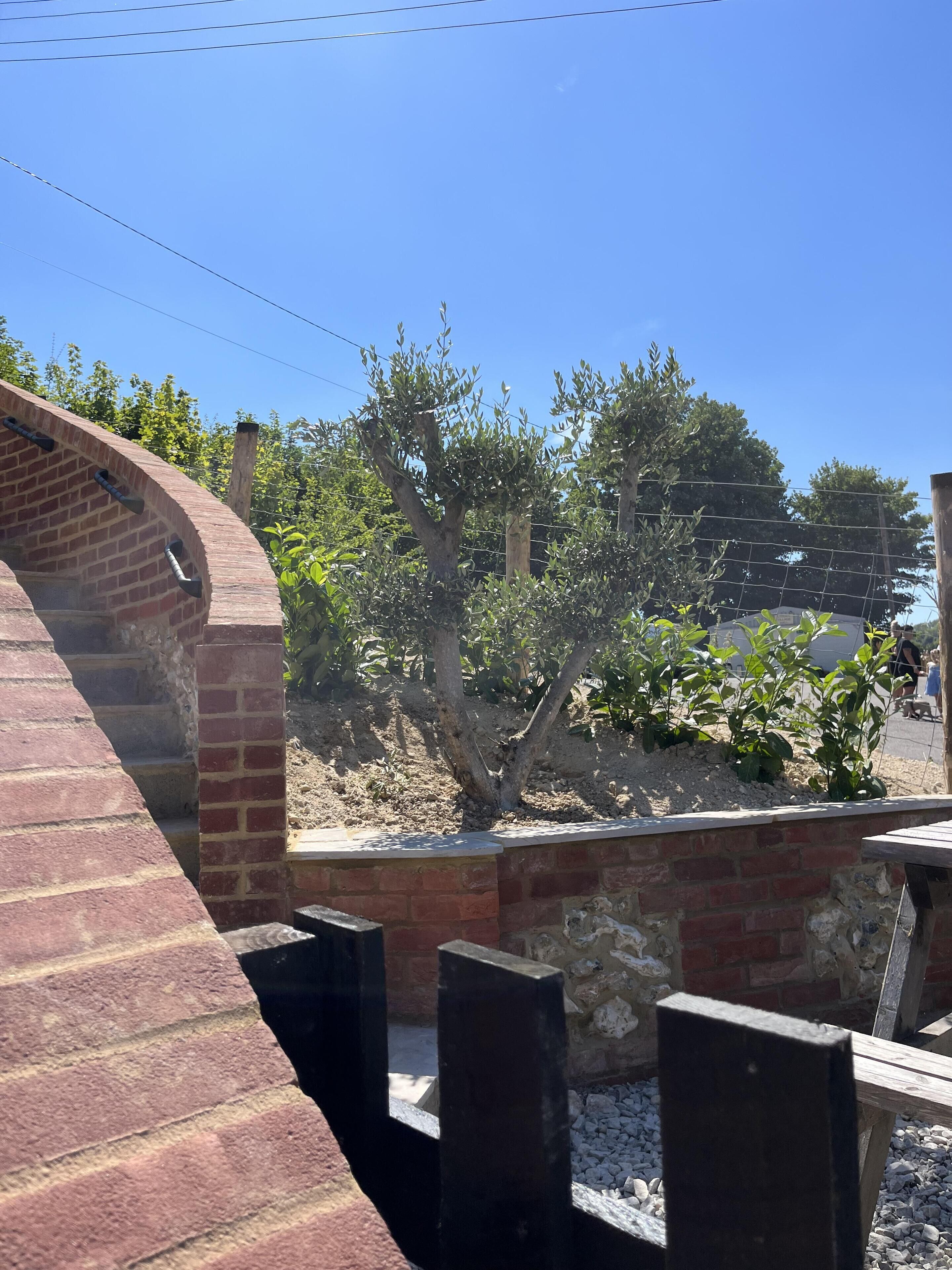 Una construcción de ladrillo con un diseño curvo, una pared de piedra y un pequeño árbol al fondo.