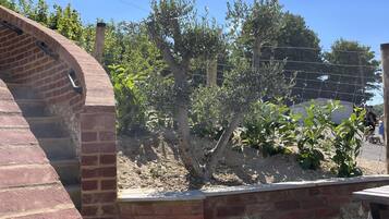 Una construcción de ladrillo con un diseño curvo, una pared de piedra y un pequeño árbol al fondo.