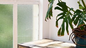 Une fenêtre donnant sur un champ verdoyant, une plante en pot et un tapis tissé sur le sol.