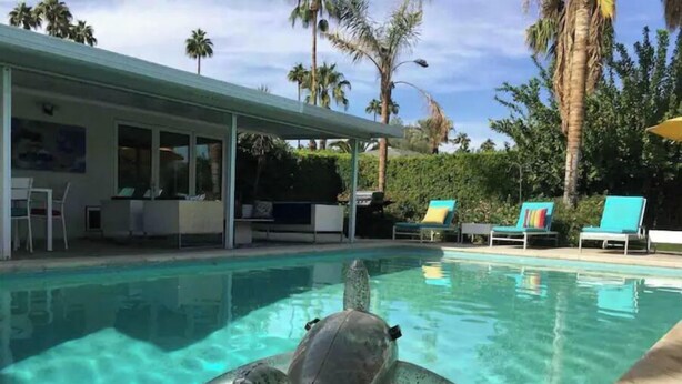 A pool with a sea turtle swimming in it, surrounded by lounge chairs and palm trees. - Mid-Century Private PoolSpa GolfResort LushGardens (New York)