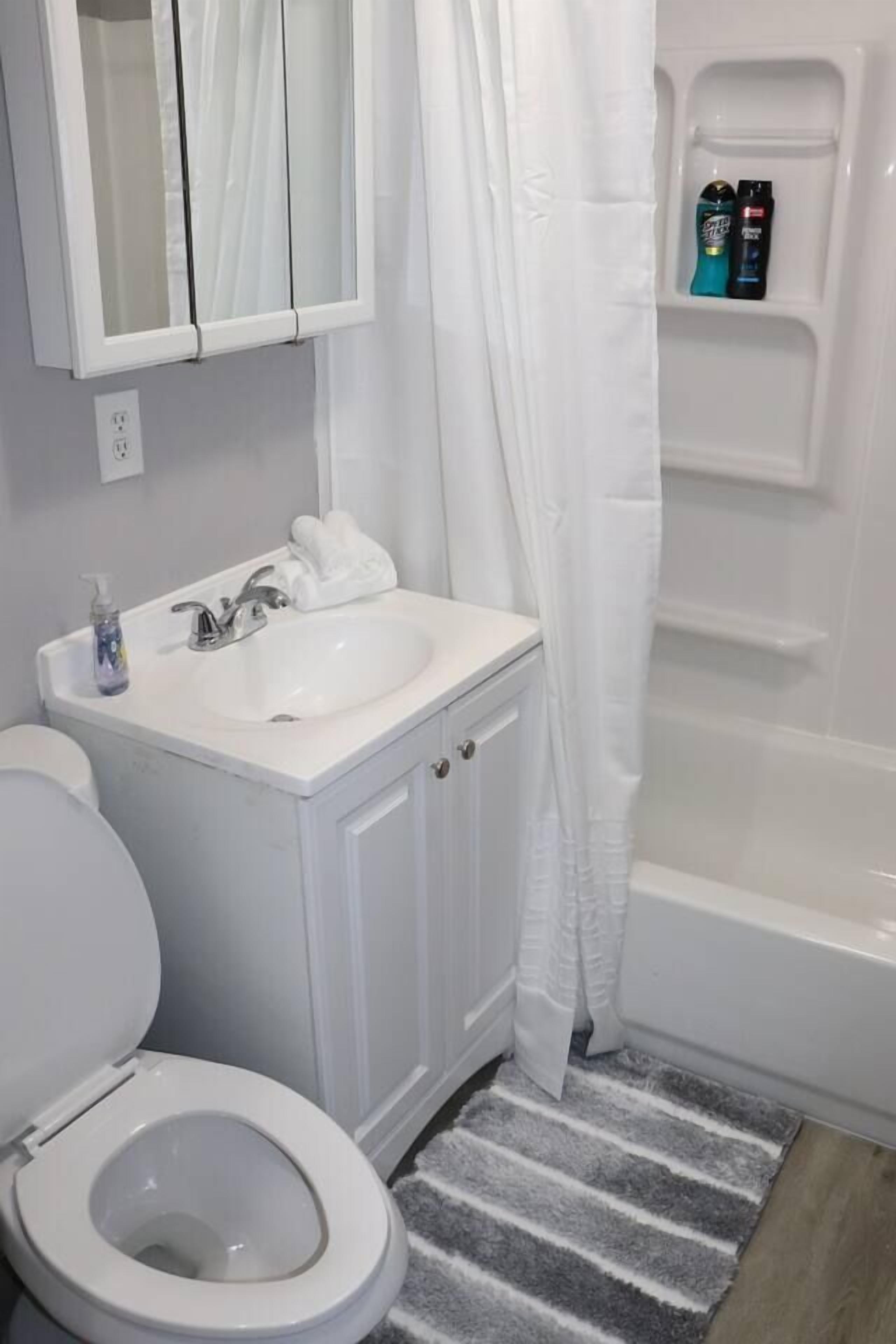 Ensemble douche/baignoire, sèche-cheveux, serviettes fournies, savon