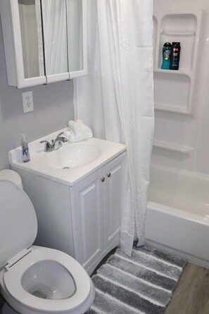 Combined shower/bathtub, hair dryer, towels, soap