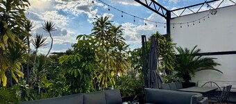 Step into a beautifully preserved historic home in the heart of Roma Norte — one of Mexico City’s most iconic neighborhoods. This 8-bedroom residence blends original charm with modern comfort, featuring private bathrooms, a charming rooftop.