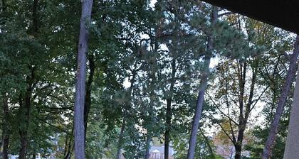 Lovely 2BR/2 BTH apt. Few steps to theBraves Stadium