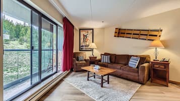 Télévision, cheminée, espaces bureaux