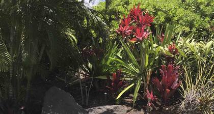 Relax in Paradise, Waikoloa Beach Villas P1