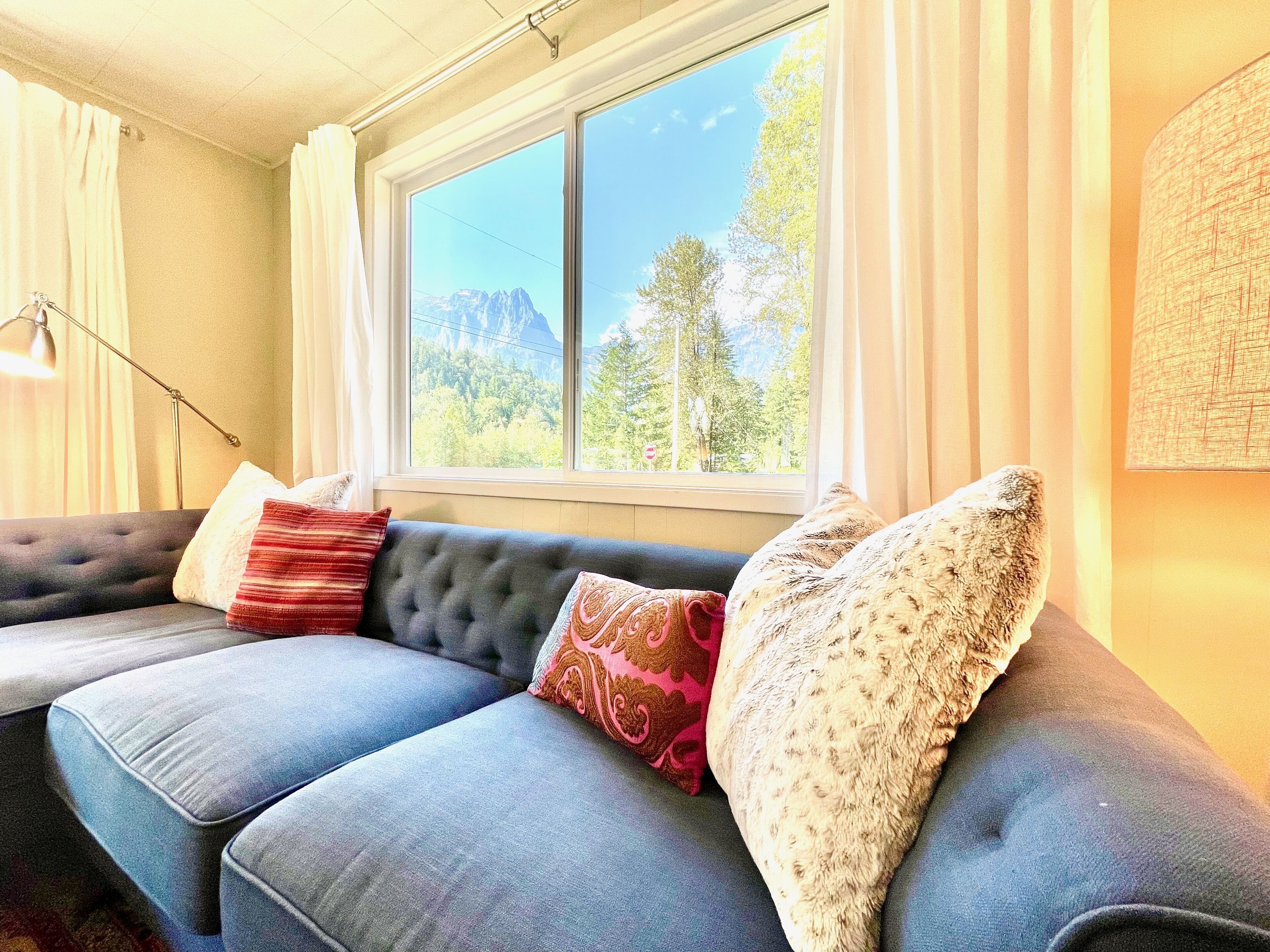 Smart TV, fireplace, DVD player, books