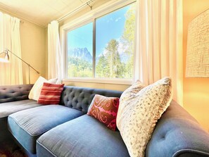 TV connectée, cheminée, lecteur de DVD, livres