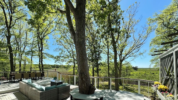 A wooden deck with outdoor seating, surrounded by trees and a clear view of the landscape. - Spacious deck with amazing view, neighborhood path to Skaket Beach, game room (Orleans)