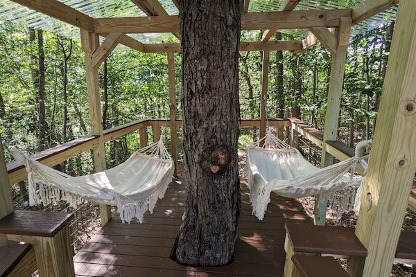 A surreal, serene place to be, hanging out in the forest canopy, in a treehouse