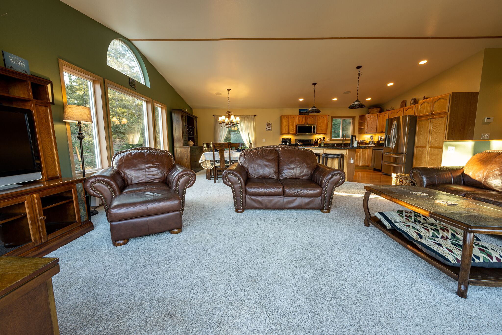 Televisor, llar de foc, reproductor de DVD i estèreo 