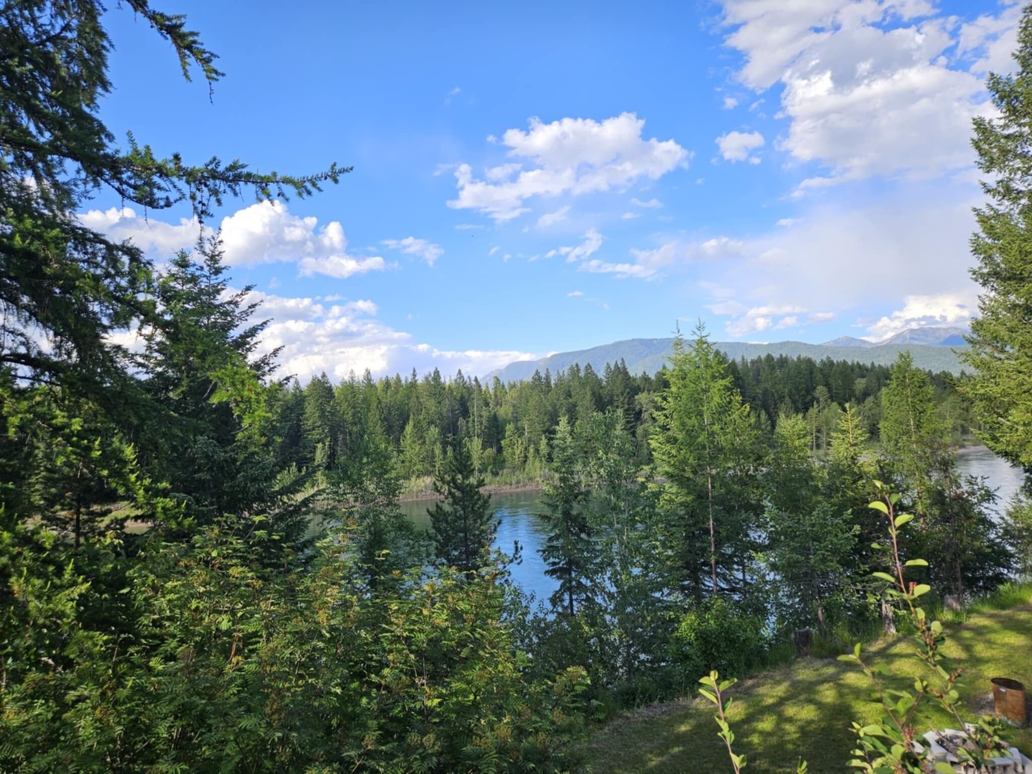 A forested area with a lake and mountains in the background.
