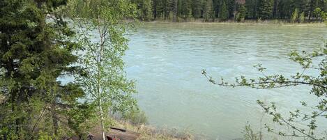 المنطقة المحيطة بالمنشأة