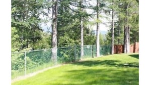 Une zone herbeuse, délimitée par une clôture métallique, avec des arbres en arrière-plan.