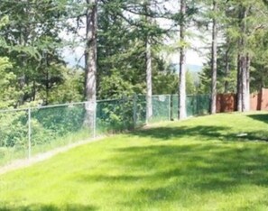 A grassy area with a metal fence and trees in the background.