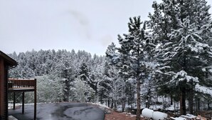 Property grounds - Secluded Guest Suite Covered Hot Tub, Private Drive, Mountain Valley Views (Florissant)