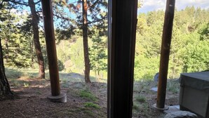 Interior - Secluded Guest Suite Covered Hot Tub, Private Drive, Mountain Valley Views (Florissant)