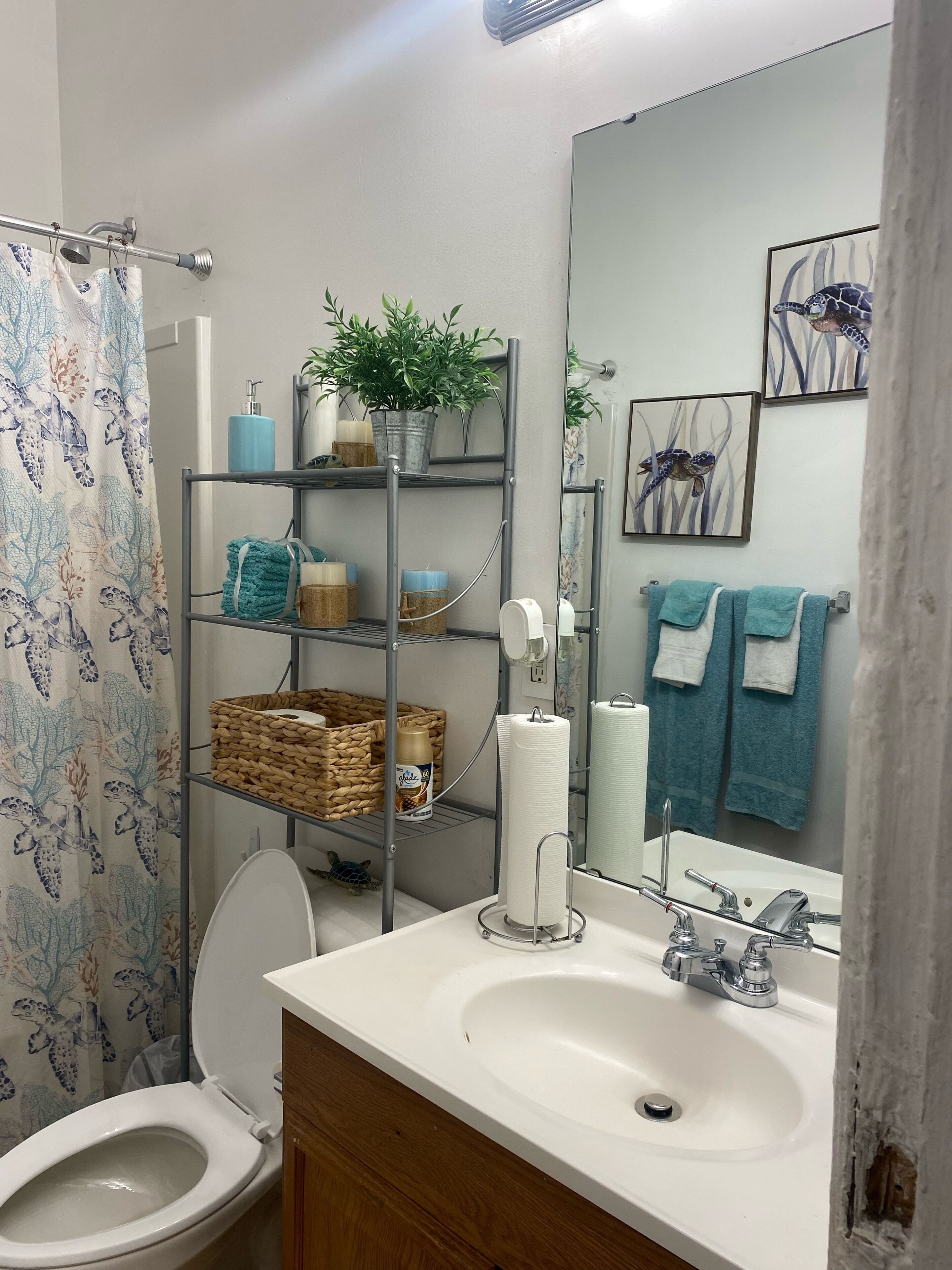 Combined shower/tub, hair dryer, towels, soap