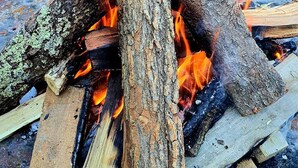 A campfire with logs and burning wood. - Pensiunea GuestHouse (St ănești)