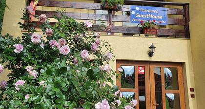 Pensiunea GuestHouse
