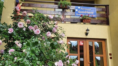 Pensiunea GuestHouse