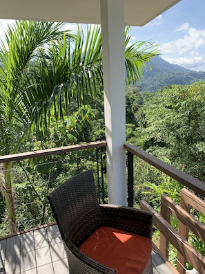 Property grounds - Casa a la Luna (Tres Rios)