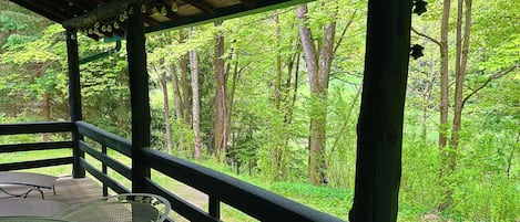 室外用餐