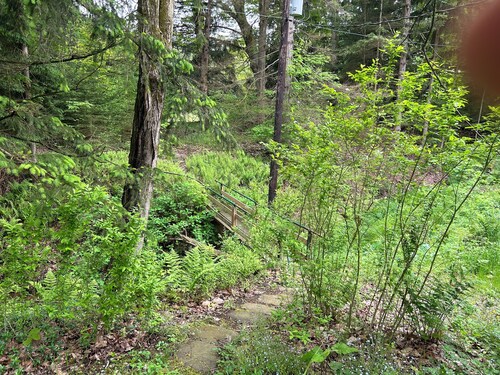 Original log cabin on 3 private acres