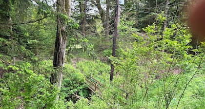 Original log cabin on 3 private acres