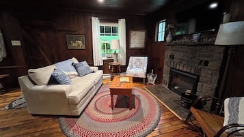 Smart TV, fireplace, books
