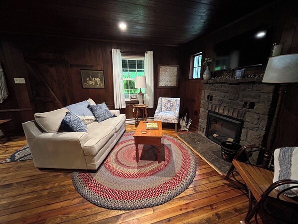 Smart TV, fireplace, books