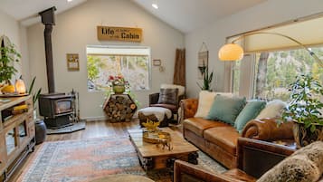 TV, fireplace, DVD player, video library